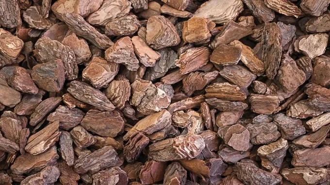 where to find cedar chips