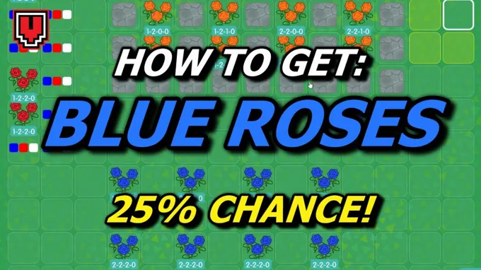 where to get blue roses