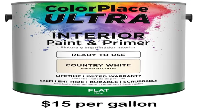 where to get cheap paint