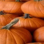 Where to Get Cheap Pumpkins: 10 Affordable Options for Your Fall Decor