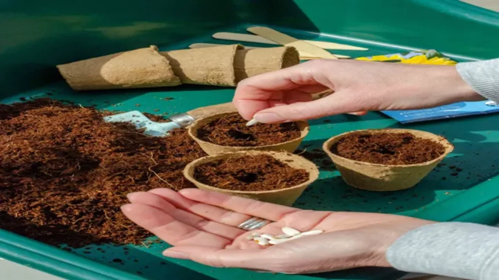 Where to Get Coco Coir: The Best Sources for Eco-Friendly Growing Mediums