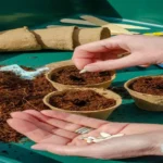 Where to Get Coco Coir: The Best Sources for Eco-Friendly Growing Mediums