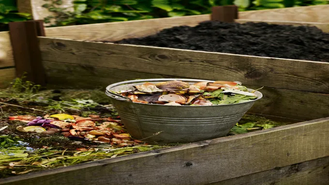 where to get compost for garden