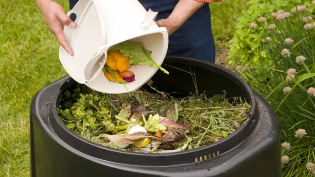 Where to get compost for garden: Best sources for nutrient-rich soil!