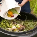 Where to get compost for garden: Best sources for nutrient-rich soil!