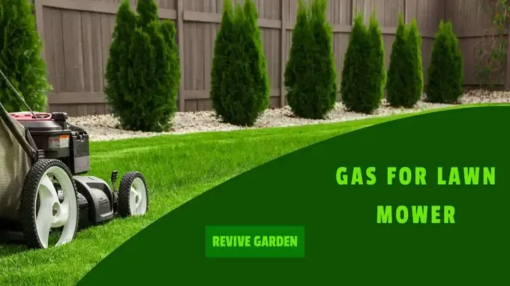 Where to Get Gas for Lawn Mower: Find the Best Options