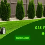 Where to Get Gas for Lawn Mower: Find the Best Options