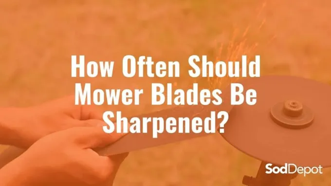 where to get mower blades sharpened