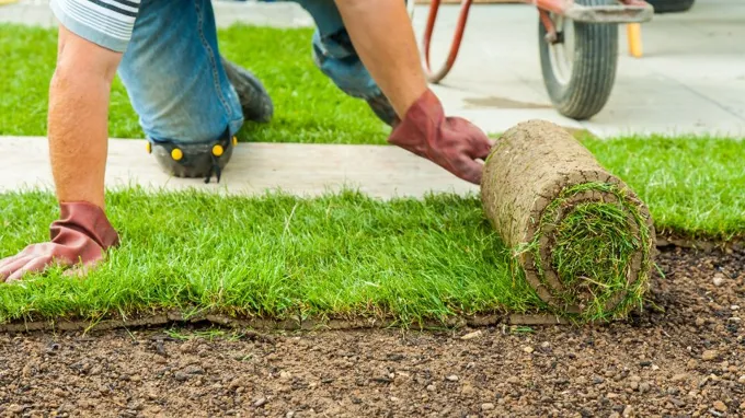 where to get rid of sod