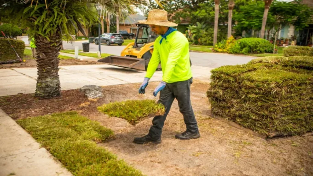 Where to Get Rid of Sod: Discover the Best Disposal Options