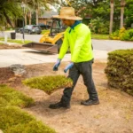 Where to Get Rid of Sod: Discover the Best Disposal Options