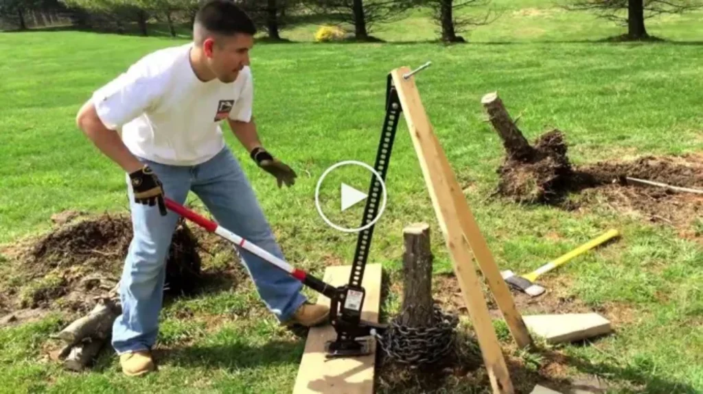 Where to Get Stump Remover: Your Guide to Finding the Best Products