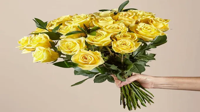 where to get yellow roses