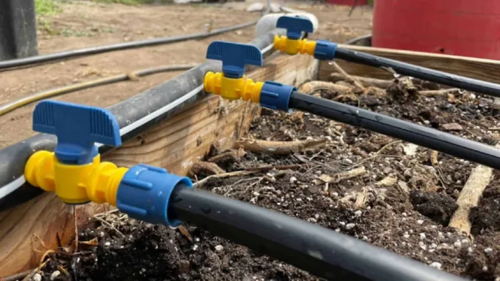 Where to Install Pressure Regulator for Drip Irrigation: A Step-by-Step Guide