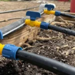 Where to Install Pressure Regulator for Drip Irrigation: A Step-by-Step Guide