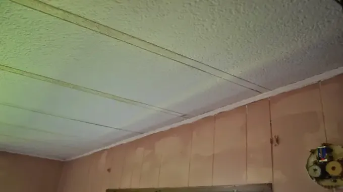 where to purchase mobile home ceiling panels