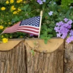 Where to Put Garden Flag for Maximum Curb Appeal: Creative Ideas