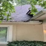 Who Cleans Gutters in My Area? Find the Best Local Gutter Cleaning Services