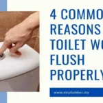 Who Doesn’t Know How to Flush the Toilet? Simple Tips and Tricks