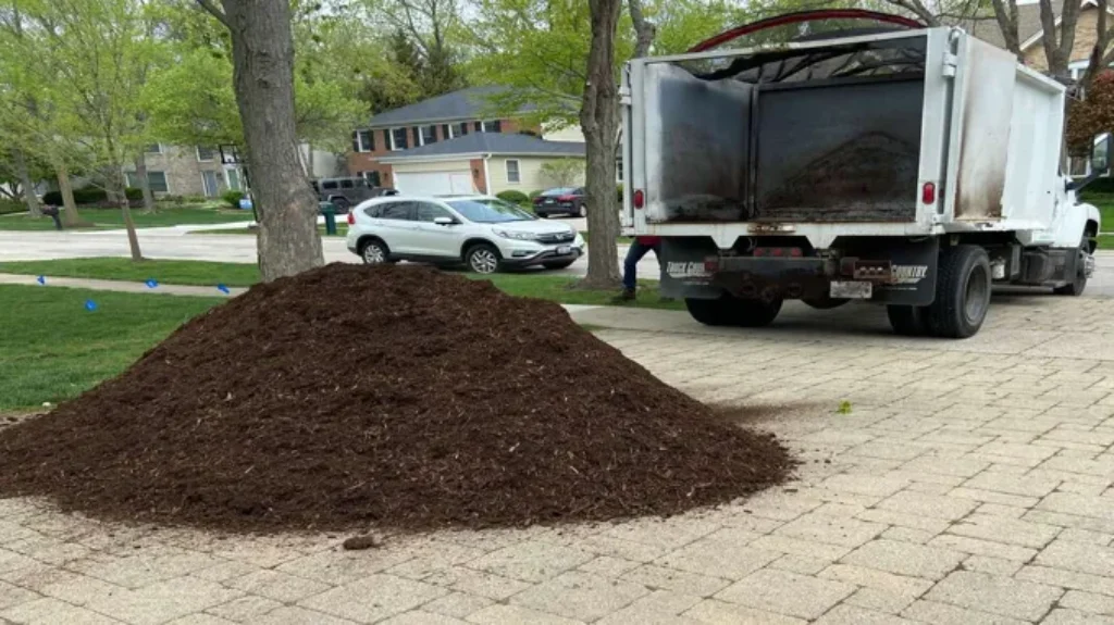 Who Has Mulch 5 for $10: Find the Best Deals on Mulch Today!