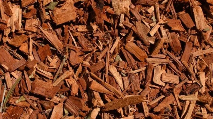 who has the best price on mulch