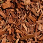 Who Has the Best Price on Mulch: Top Ways to Find Affordable Mulch Options