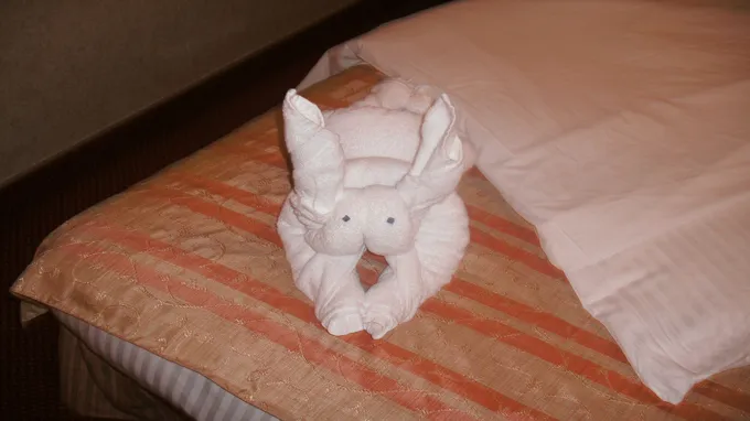 who makes carnival cruise pillows