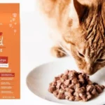 Who Makes Wholehearted Cat Food: A Complete Guide to the Brand