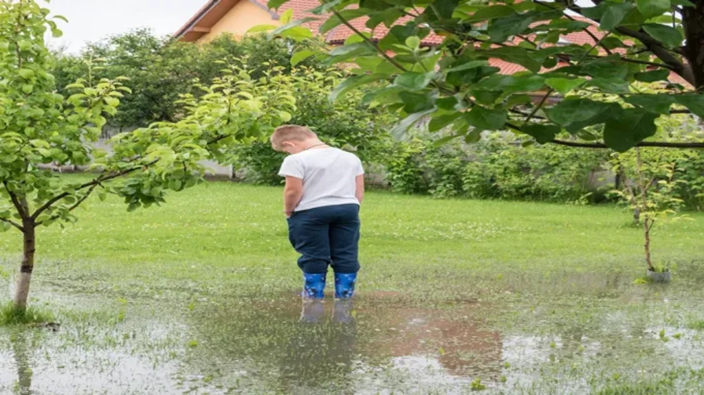 Who to Call for Drainage Problems in Yard: Expert Solutions and Services