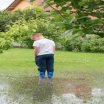 Who to Call for Drainage Problems in Yard: Expert Solutions and Services