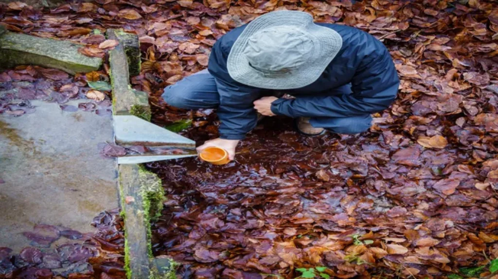 Who to Call for Standing Water in Yard: Expert Tips to Resolve It