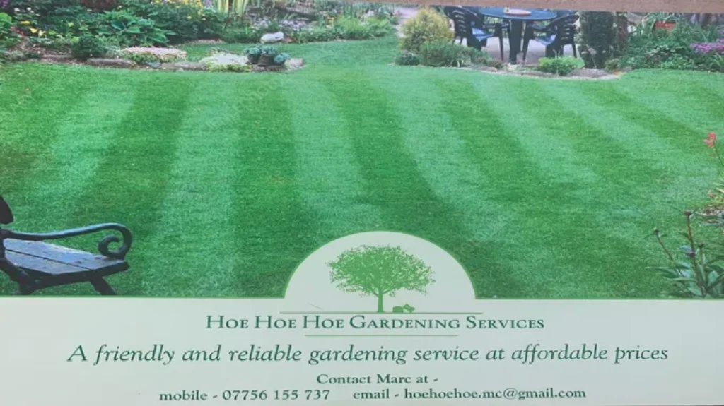 Who Treats Lawns in Holland Ohio? Find Expert Lawn Care Services!