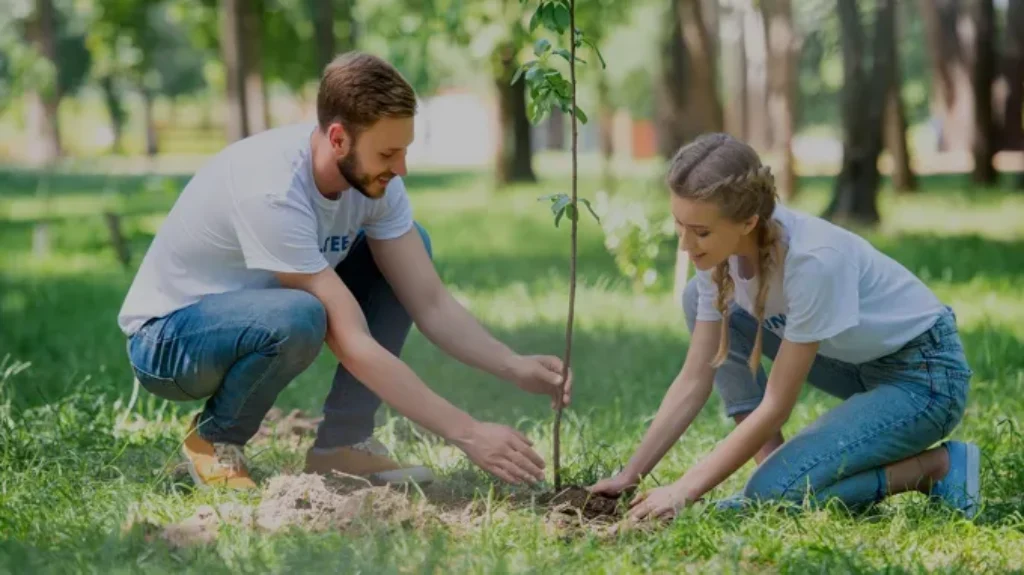 When Do You Plant Trees: Best Time and Tips for Tree Planting