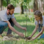 When Do You Plant Trees: Best Time and Tips for Tree Planting