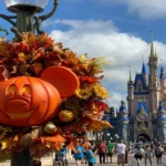 When Does Disney World Put Up Halloween Decorations: Your Complete Guide