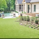 When Does Grass Start Growing in Texas? Essential Tips for Lawn Care