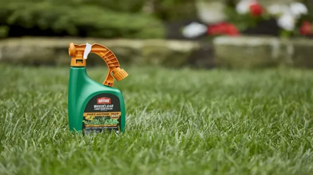 When Is It Best to Spray Weed Killer for Effective Lawn Care