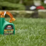 When Is It Best to Spray Weed Killer for Effective Lawn Care