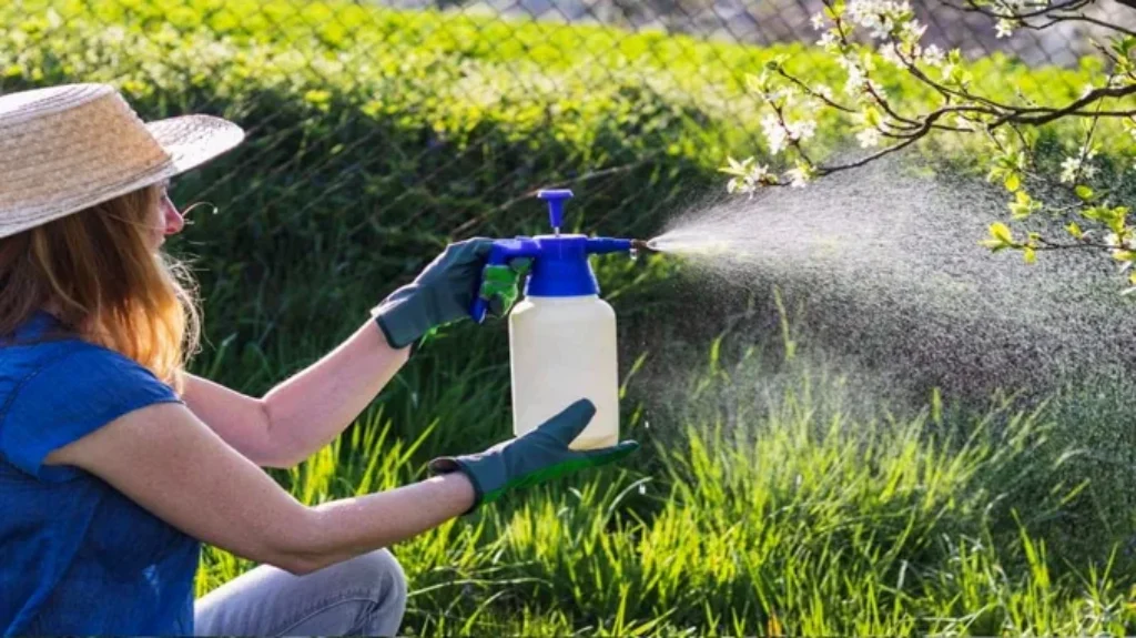 When is the Best Time to Spray for Dandelions: Expert Tips & Timing