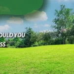 When Should I Mow New Grass: A Complete Guide to Mowing Newly Planted Turf