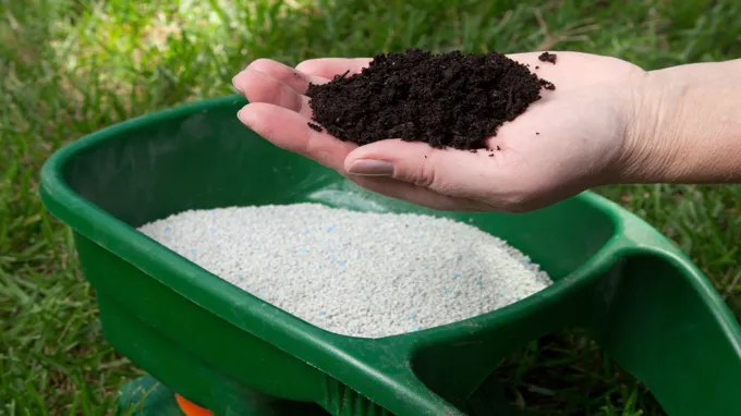 when should you fertilize your lawn in texas