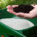 When Should You Fertilize Your Lawn in Texas for a Thriving Yard