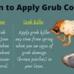 When to Apply Grub Control in Wisconsin for a Beautiful Lawn