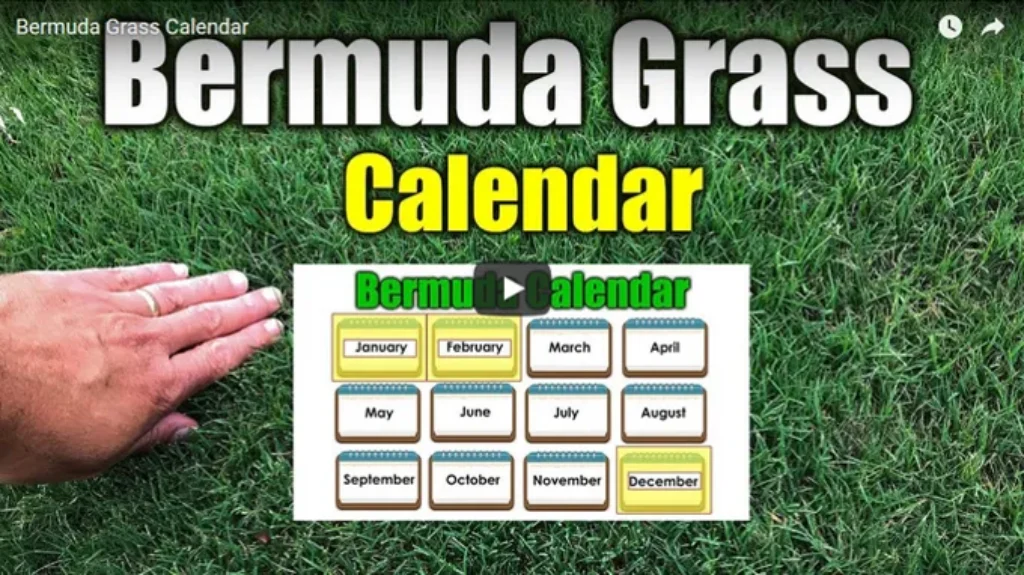 When to Apply Pre Emergent for Bermuda Grass: Best Timing and Tips for Success