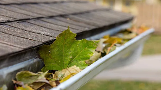 when to clean gutters in fall