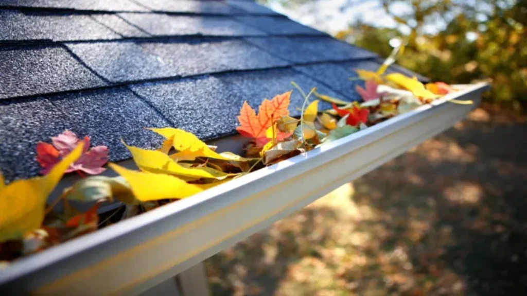 When to Clean Gutters in Fall: Essential Tips for Homeowners