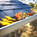 When to Clean Gutters in Fall: Essential Tips for Homeowners