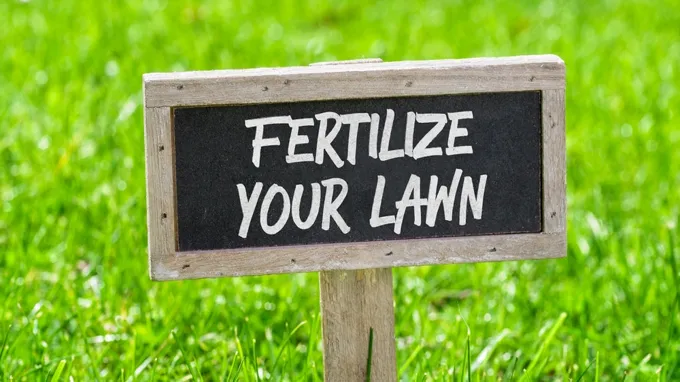 when to fertilize lawn in north texas