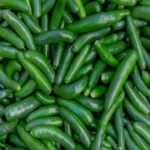 When to Harvest Serrano Peppers for Optimal Flavor and Heat