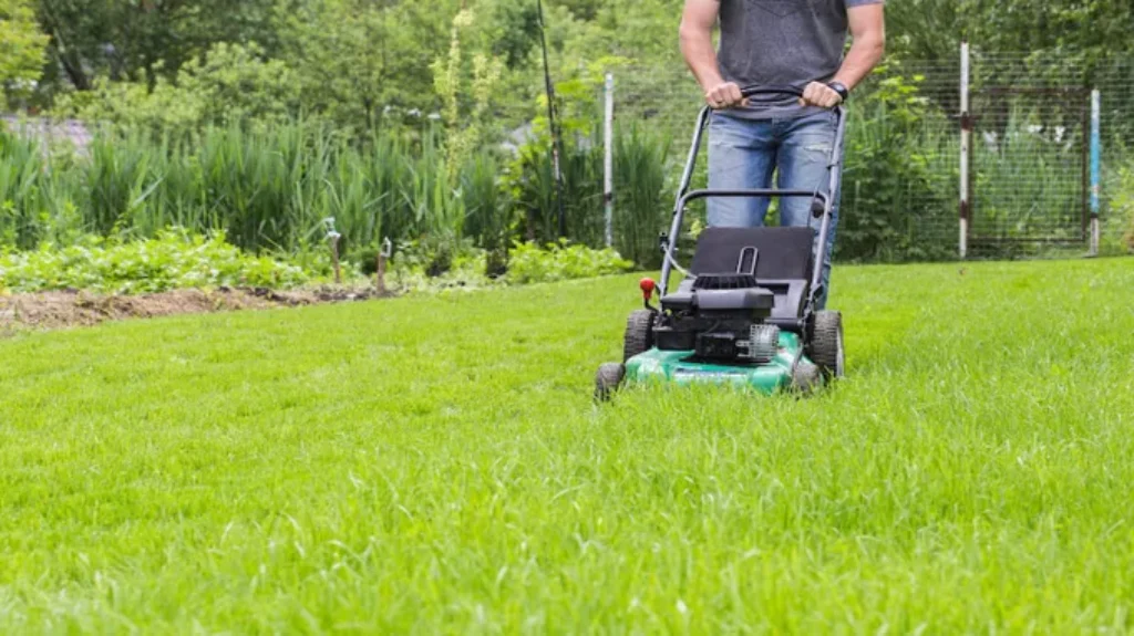 When to Mow Seeded Grass: Best Time and Tips for a Healthy Lawn